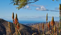 view on mirador